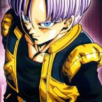  / Briefs Trunks / 