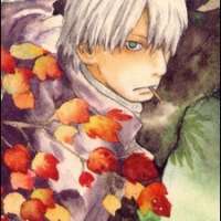  / Ginko / 