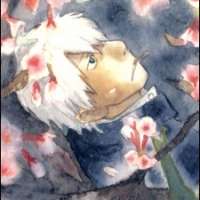  / Ginko / 