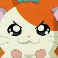  / Hamtaro / 