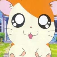  / Hamtaro / 