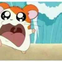  / Hamtaro / 