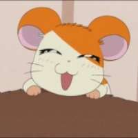  / Hamtaro / 