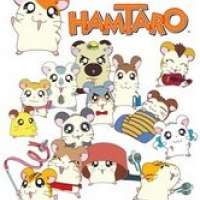  / Hamtaro  / 