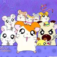  / Hamtaro  / 