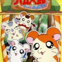  / Hamtaro  / 