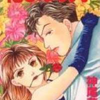    / Hana Yori Dango / Boys Over Flowers