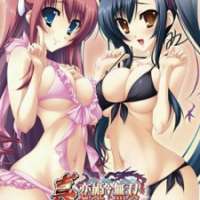  / Shin Koihime†Musou OVA  / 