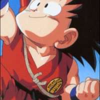  / Son Goku / 